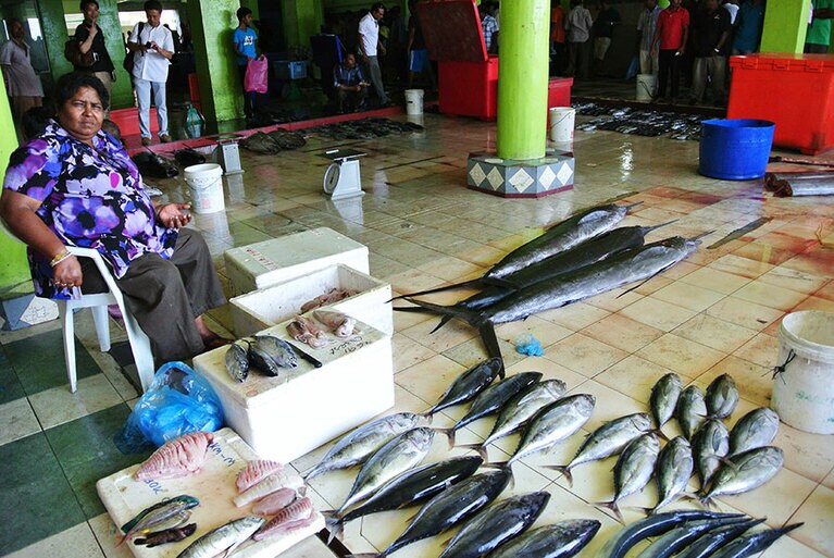 カジキやカツオ、マグロなど、鮮魚がずらり。店番のおばちゃん、愛想はあまりないです。
