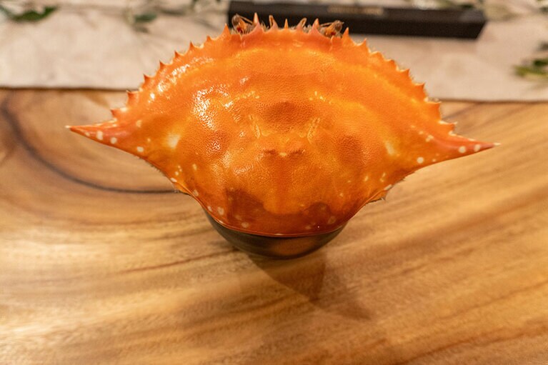 天幕レストランの様子。