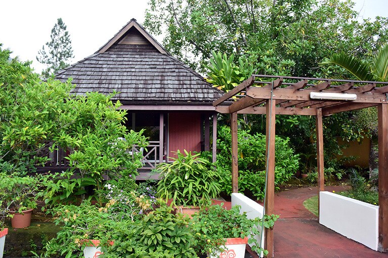 奥様のガーデニングの趣味が高じて、敷地内は熱帯の植物がたっぷり。