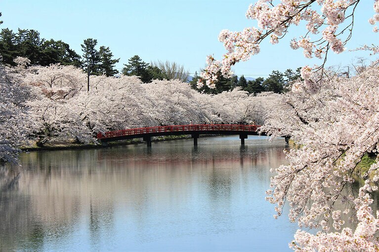 弘前公園西濠春陽橋。
