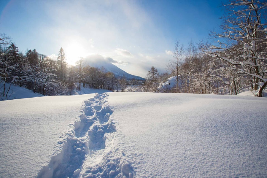 新雪を踏みしめる感覚が本当に気持ちいい、スノーシューでのネイチャーツアー。