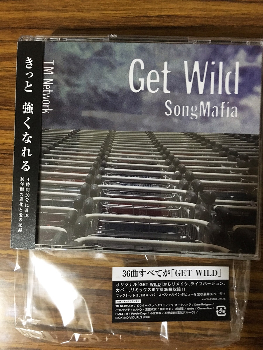 『Get Wild Song Mafia』。ゲワイだらけで4時間20分……。たしかに全て聴き終わったあと自分が(がまん)強くなった気がした。