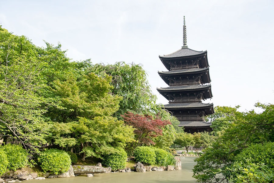 東寺の象徴、五重塔。落雷などで4度消失し、現在の建物は徳川家光の寄進によるもの。