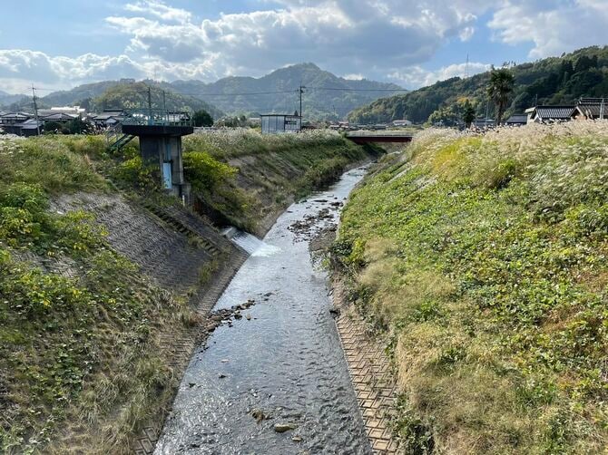 千代川の支流も採れそうな雰囲気がある