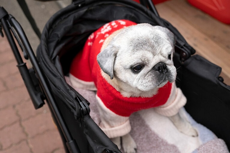 アザーカット。