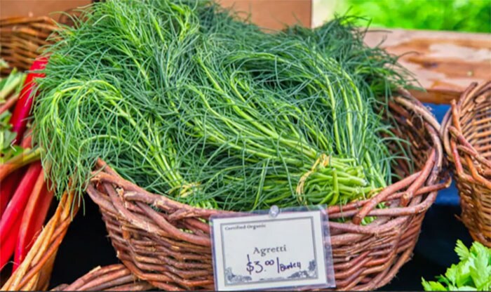 イタリアのおかひじき「アグレッティ」も春を感じさせてくれる野菜のひとつ。