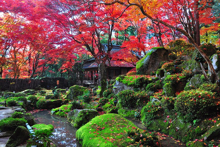 教林坊／滋賀県