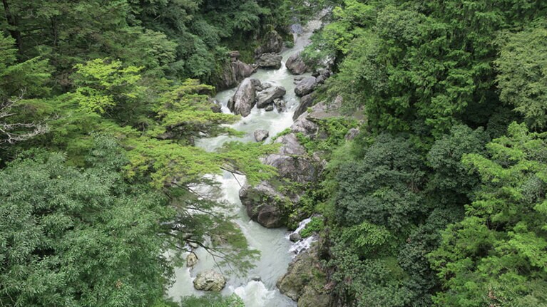 鳩ノ巣渓谷。