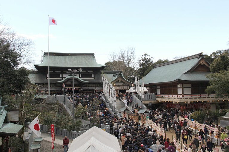 【愛媛県】椿まつり。