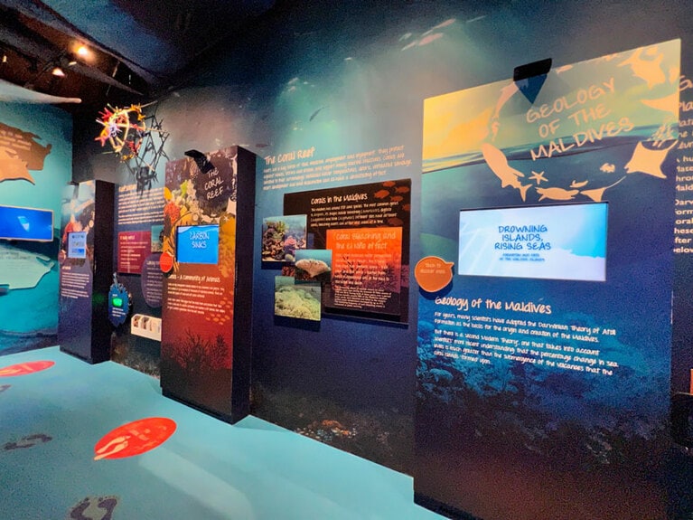 桟橋横にある「マリン・ディスカバリー・センター」では、モルディブの海の生き物たちについて、リゾートオープン当初からの取り組みについてなどが、展示されている。