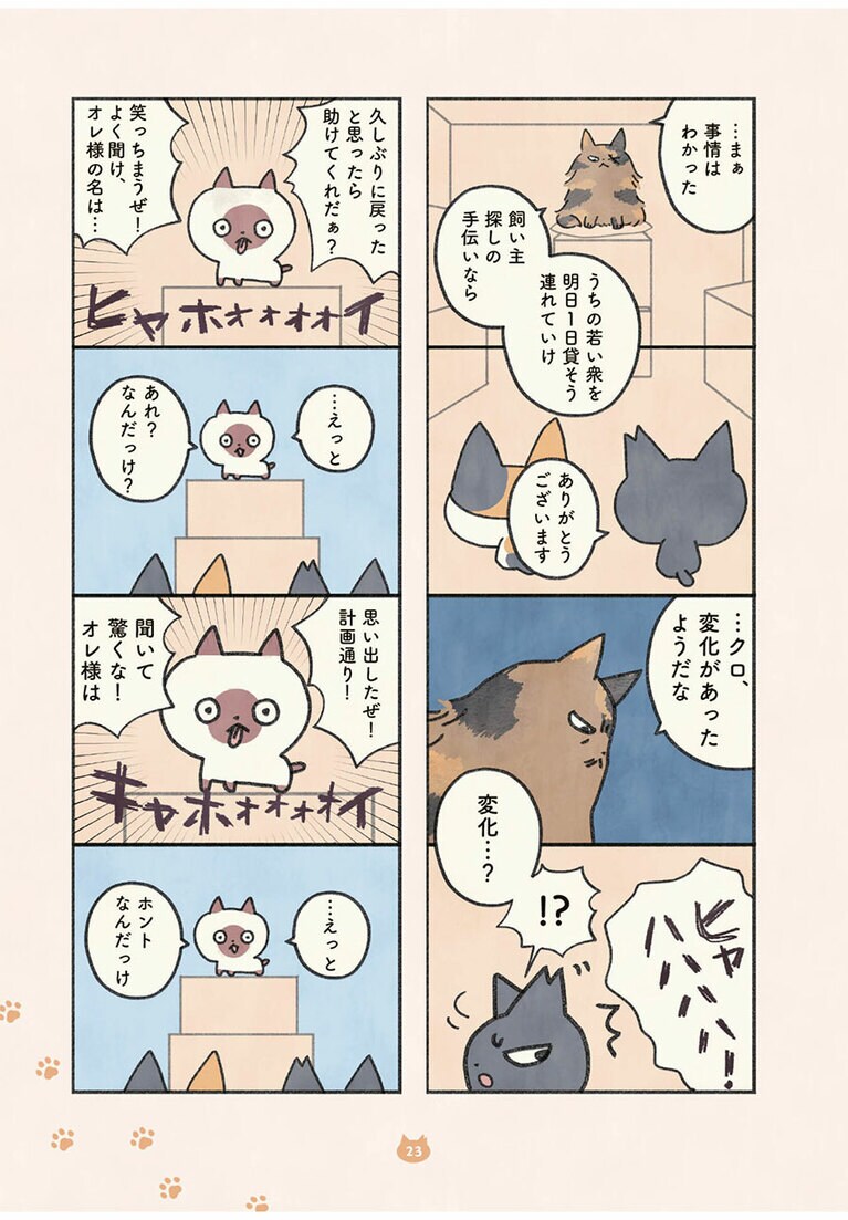 『もしもなんて来ないと思ってた猫』オキエイコ（実業之日本社）。