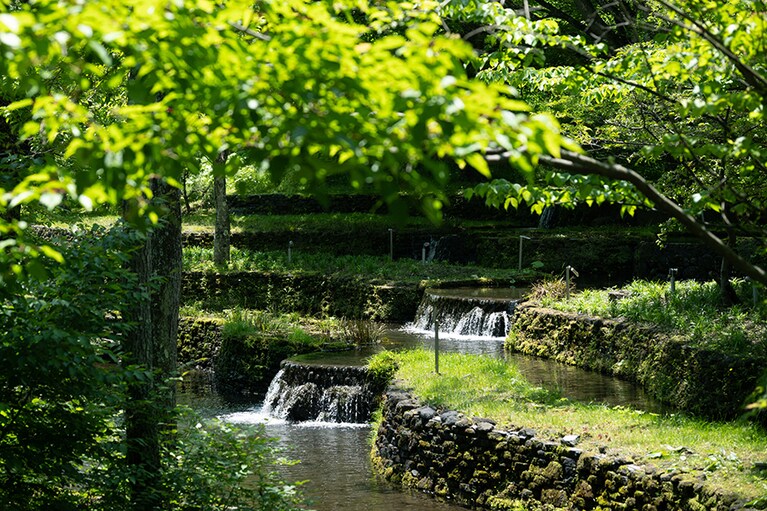 創業時から受け継がれてきた土地には現在、 星のや軽井沢の美しいランドスケープが広がっています。