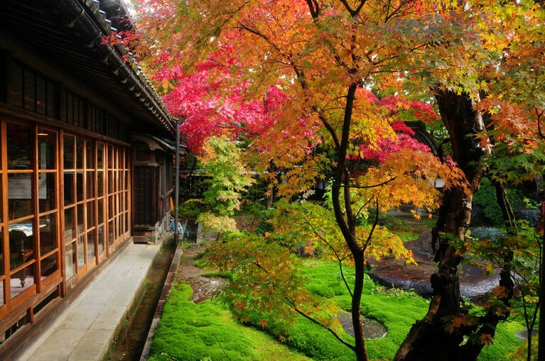 中野邸記念館の紅葉／新潟県