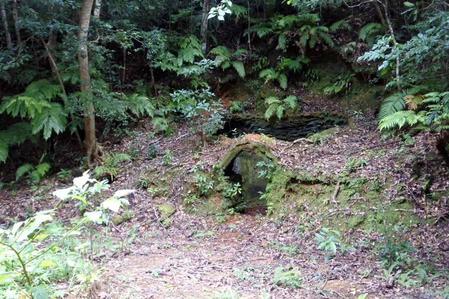 かつて使われていた炭窯。琉球王朝が解体された当時、開拓する地を求めて士族が森の中へ。知識を活かして、リュウキュウアイなどの栽培も行っていたそう。