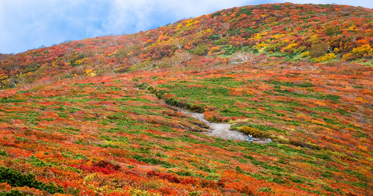 4ページ目)【2022年紅葉】北海道・東北エリア 「10月が見ごろ」紅葉の