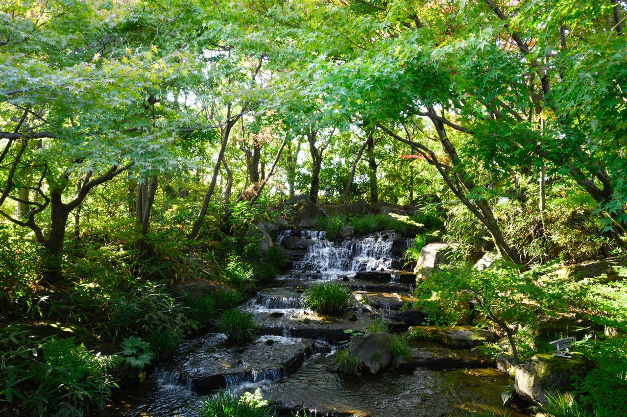 編集部スタッフが訪れた11月20日（水）は、「好古園」も、まだまだ紅葉と新緑が入り混じるような状況だった。