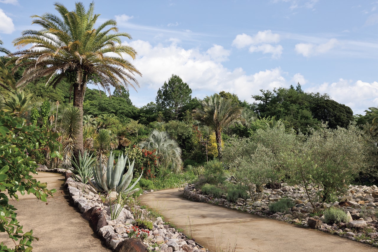 モネが地中海の美しい街ボルディゲラの光と色彩に魅了されて描いた作品から着想を得た「ボルディゲラの庭」。