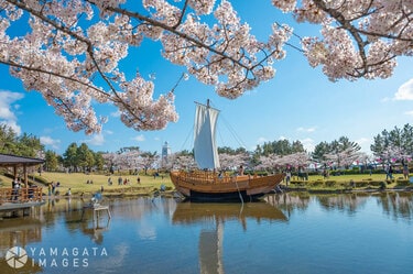 日本の春・厳選風景16年【 風景写真 3-4月号　2007〜2022年】16冊 驚きの値段で 日本の春・厳選風景16年【 風景写真 3-4月号 2007