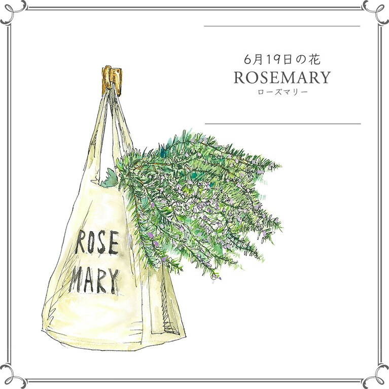 【6月19日の花】ローズマリー