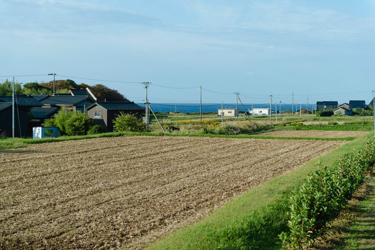 「御宿 花の木」付近からの眺め。田園風景の奥に海が見える心安らぐ景色。