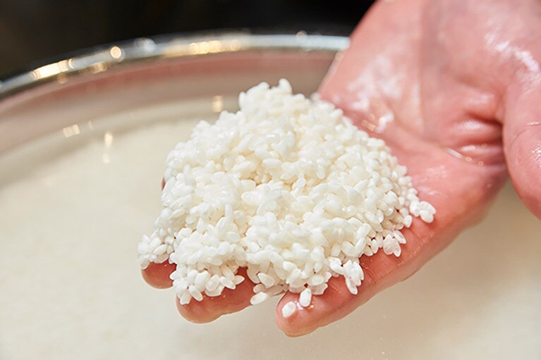 よく水を吸ったお米は真っ白に。