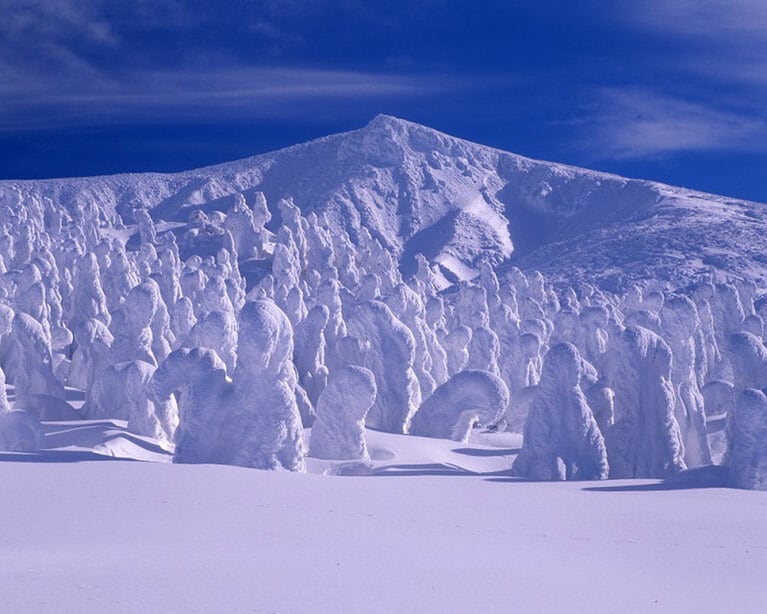 蔵王の樹氷。