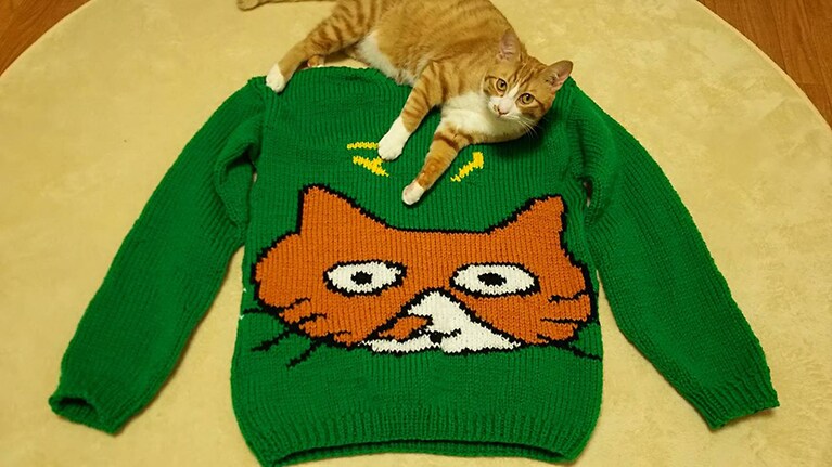 うちの子ベストショット②こちらはマリとマリの手編みのセーター。鼻のホクロがキュート！