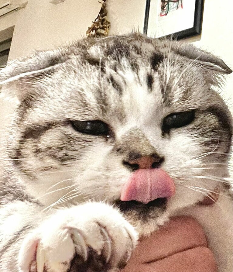 にとべ ♂ 19歳。ごちそうさま。