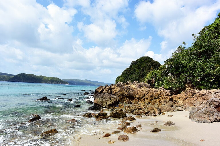 リゾート前の浜。あるがままの自然がたっぷり。