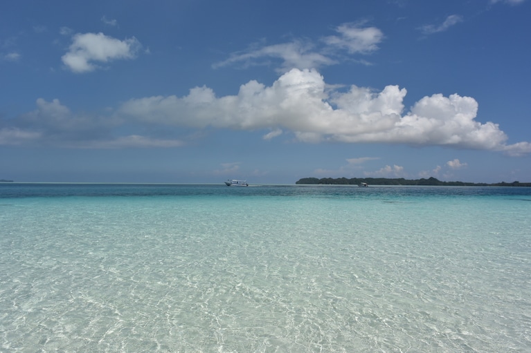 水平線ぎりぎりの平坦な島やマッシュルーム形の島がぽこぽこと浮かんでいます。その数は200～586島。かなり幅があります!?