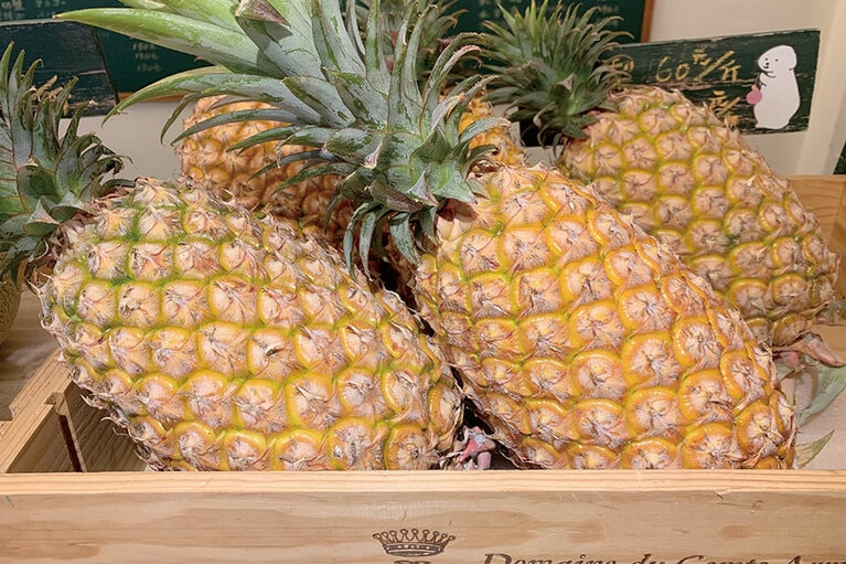 丸々とした「陳記百果園」の金鑽鳳梨。