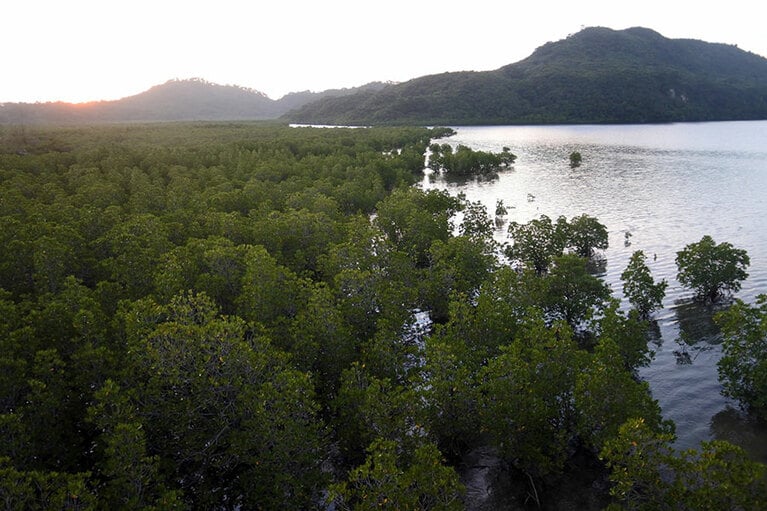 奄美大島、徳之島、沖縄島北部とともに世界自然遺産に登録されている西表島。