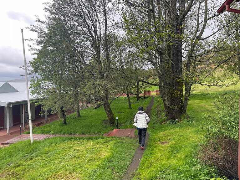 敷地はかつて農場だったらしく、草も木々も生えていた。