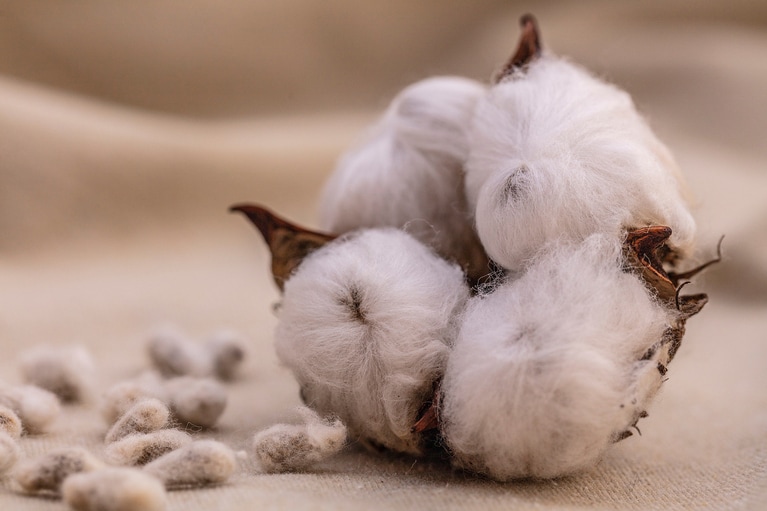 PHOTO CREDIT: Tim Davis© Patagonia, Inc.