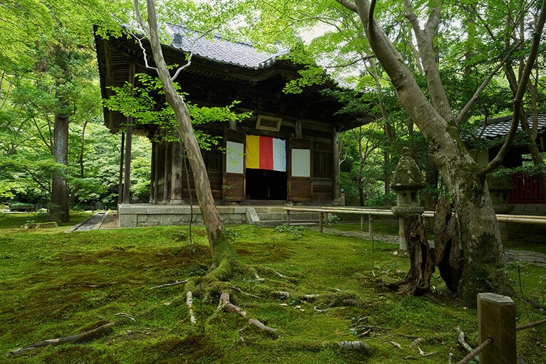 本堂には本尊の釈迦如来像などが安置されています。