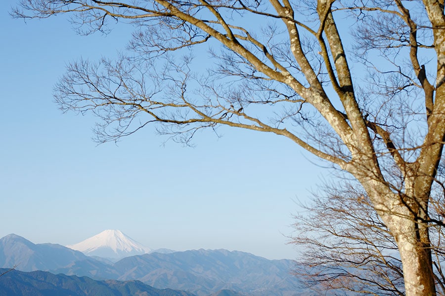 高尾山。©文藝春秋