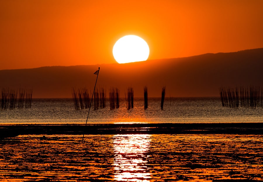 荒尾干潟の夕日。