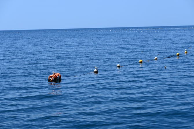 一列にブイを並べ、魚の通り道に網を張る、“大敷網”という定置網。