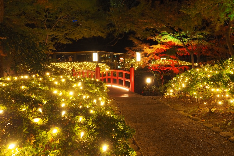 日本庭園のライトアップ。