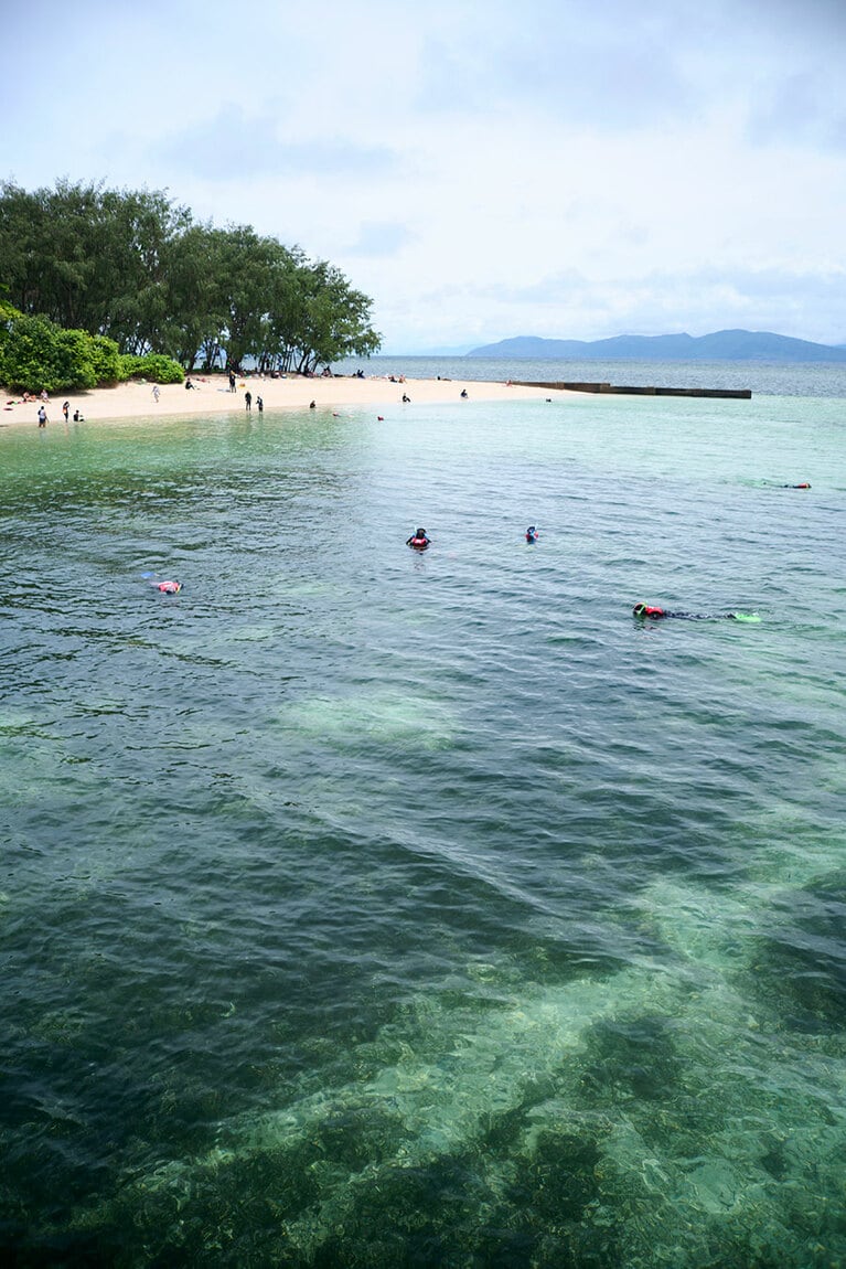 グリーン島自体が珊瑚礁でできている。
