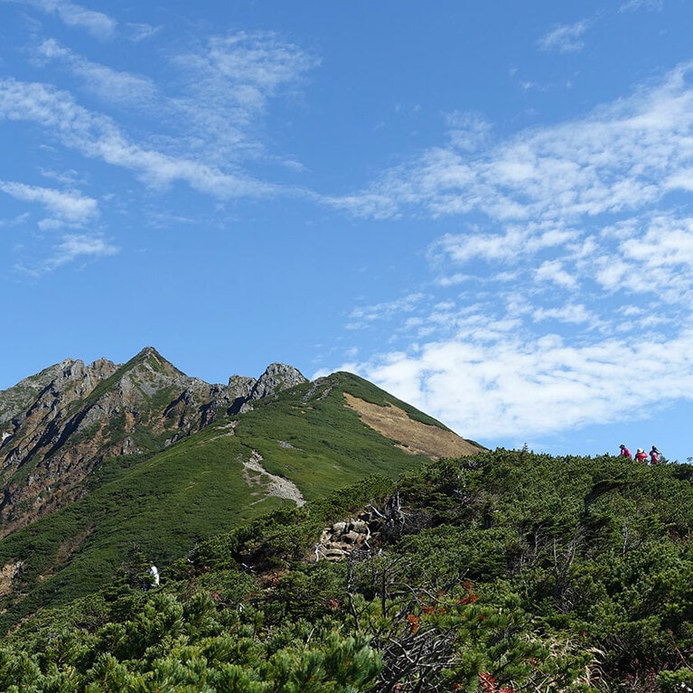 青々とした緑に包まれる西穂丸山。