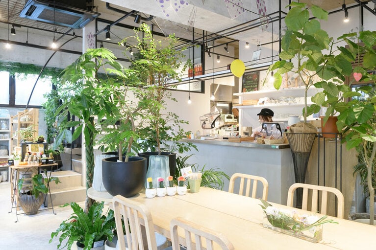 中心に大きなテーブルを置いた店内。たっぷりの光が降り注ぐ。