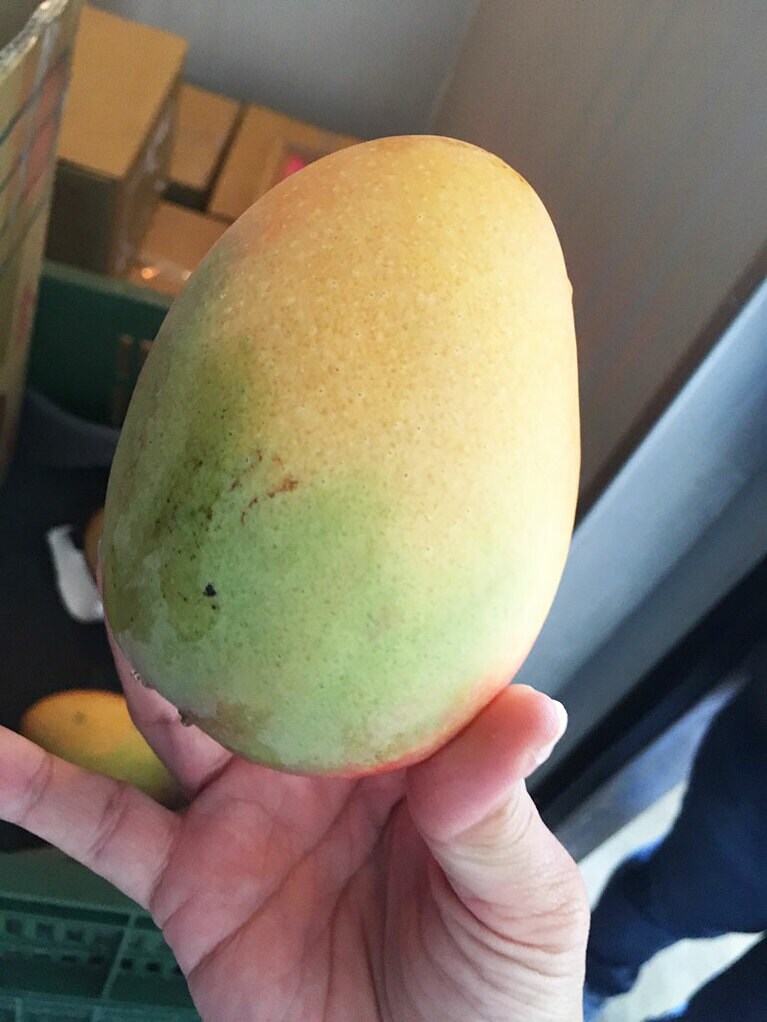 桃とマンゴーをかけ合わせたピーチマンゴー。