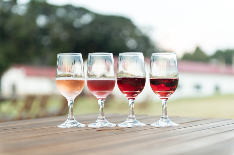 醸造場見学とテイスティングは1週間前までに予約(有料)。テイスティングはスパークリングを含め9種類(2022年1月現在)。