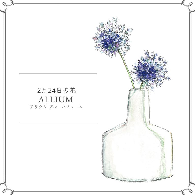 2月24日の花「アリウム ブルーパフューム」