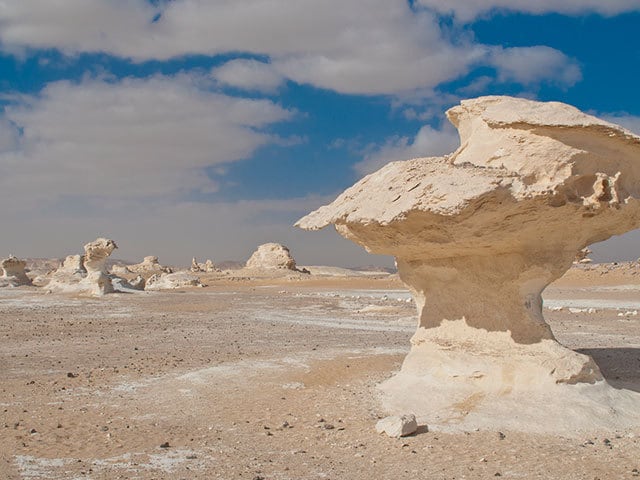 エジプトの白い砂漠に点在する 風に削られた自然のオブジェ | 今日の絶景