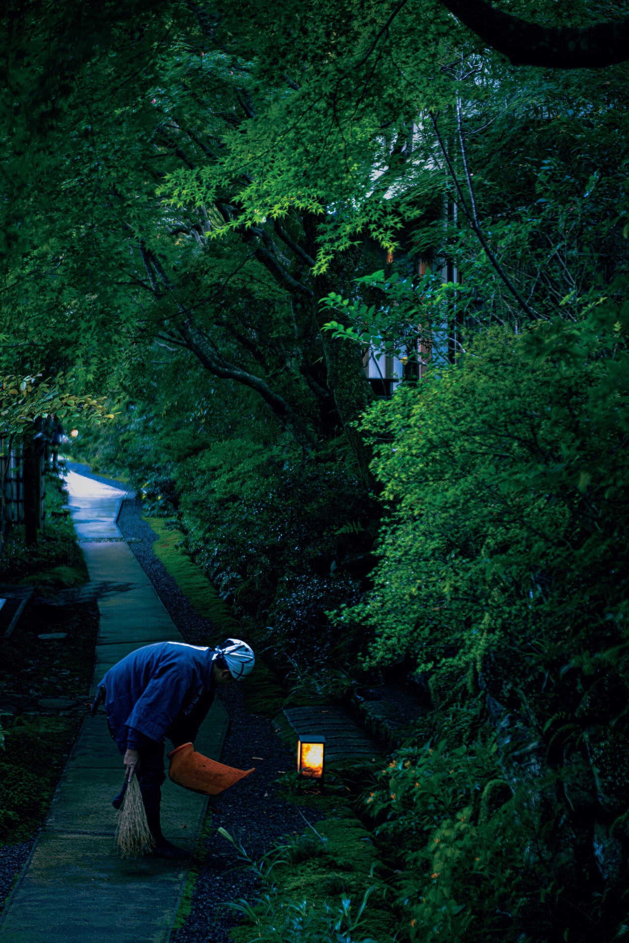 客室やライブラリーラウンジが連なる「路地庭」は、茶庭の露地の精神を取り入れた庭。昔は切り詰めていた枝を伸ばすことで、紅葉のトンネルが実現した。苔むした路地庭で手入れする姿も“人文風景”として絵になる。