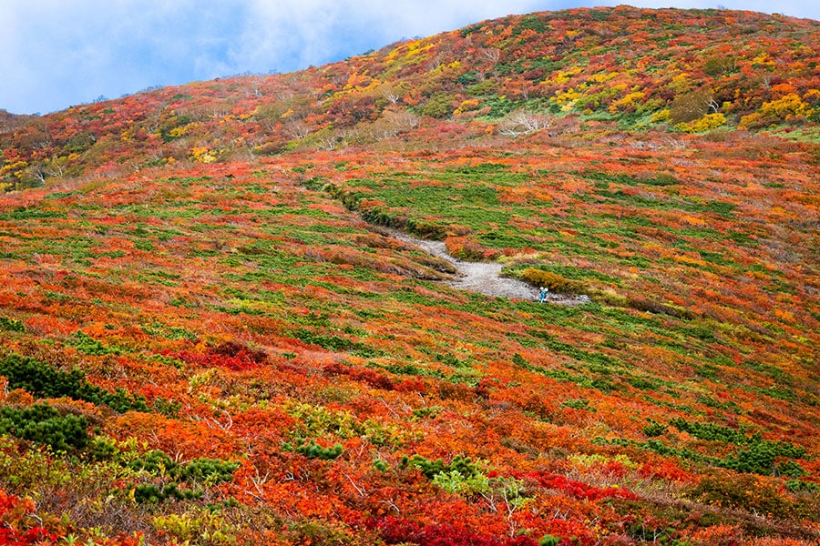 栗駒山の紅葉。