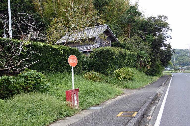 少し内陸に入ると、のどかな光景が。
