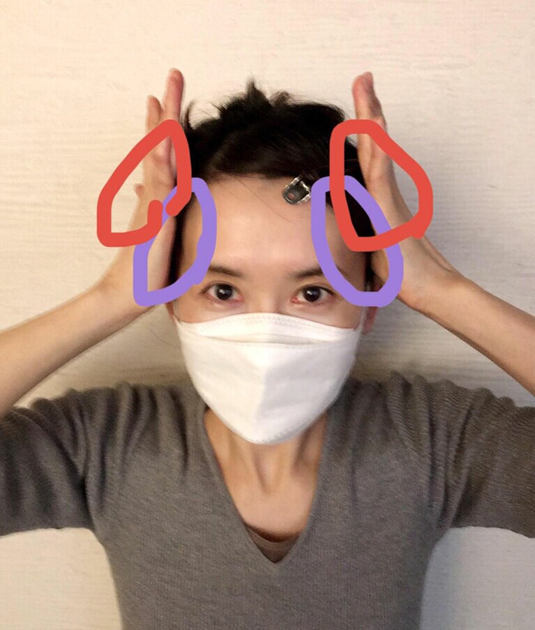 側頭部の2カ所を刺激します。